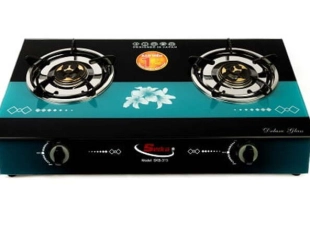 Bếp Gas Đôi Mặt Kính Seika (Sen Đồng ) SKB313