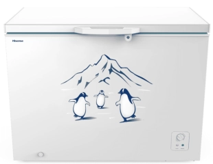 Tủ đông Hisense Inverter 300 lít FC380D4EWC1