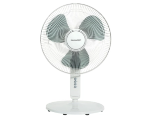 Quạt đứng Sharp không có điều khiển PJ-S40MV-LG 55W