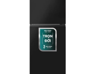 Tủ Lạnh Hisense Inverter 205 Lít RT256N4EBN