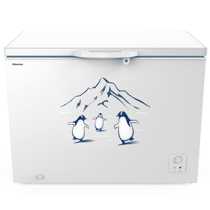 Tủ đông Hisense Inverter 300 lít FC380D4EWC1