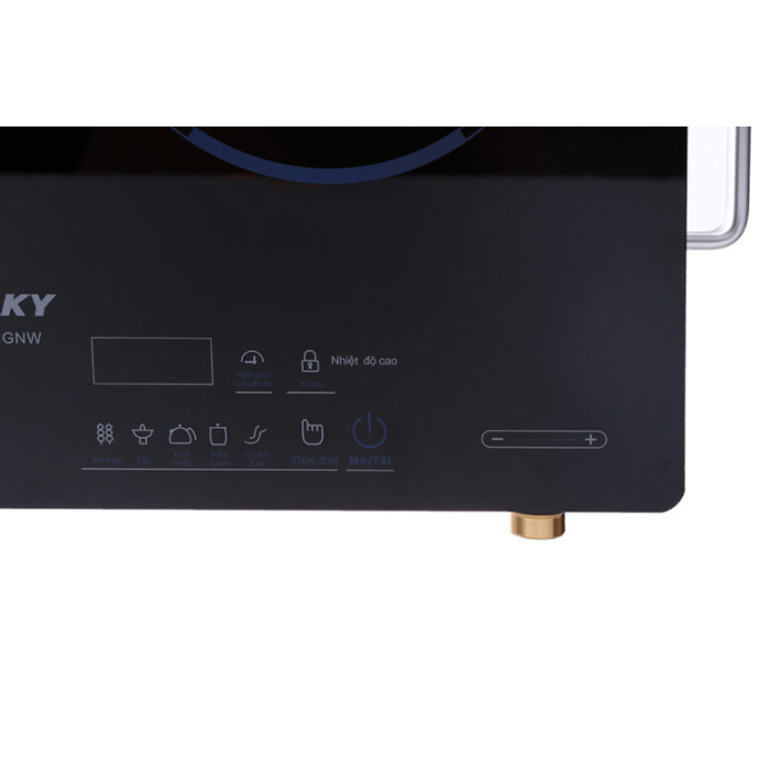 Bếp hồng ngoại đôi Sanaky SNK-203HGNW