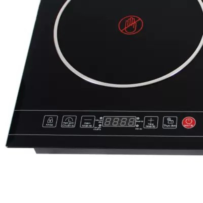 Bếp hồng ngoại Sanaky SNK-202HGW