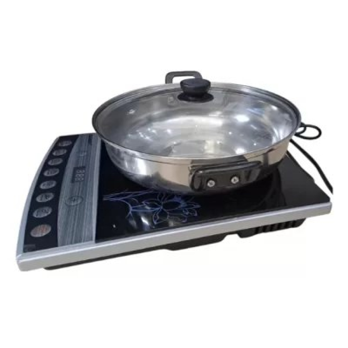Bếp từ Sanaky SNK-ICP17A