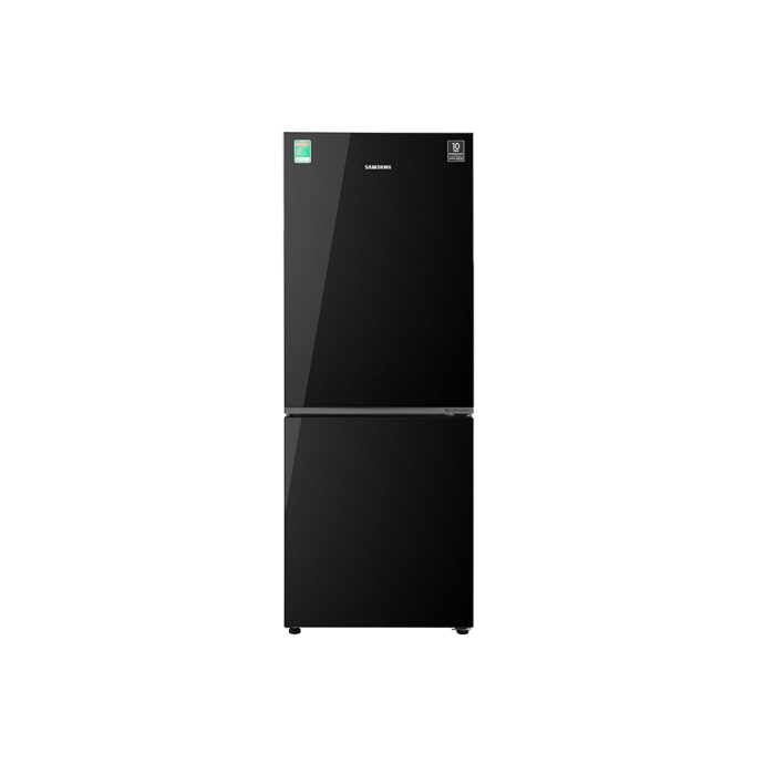 Tủ lạnh Samsung Inverter 280 lít RB27N4010BU/SV 