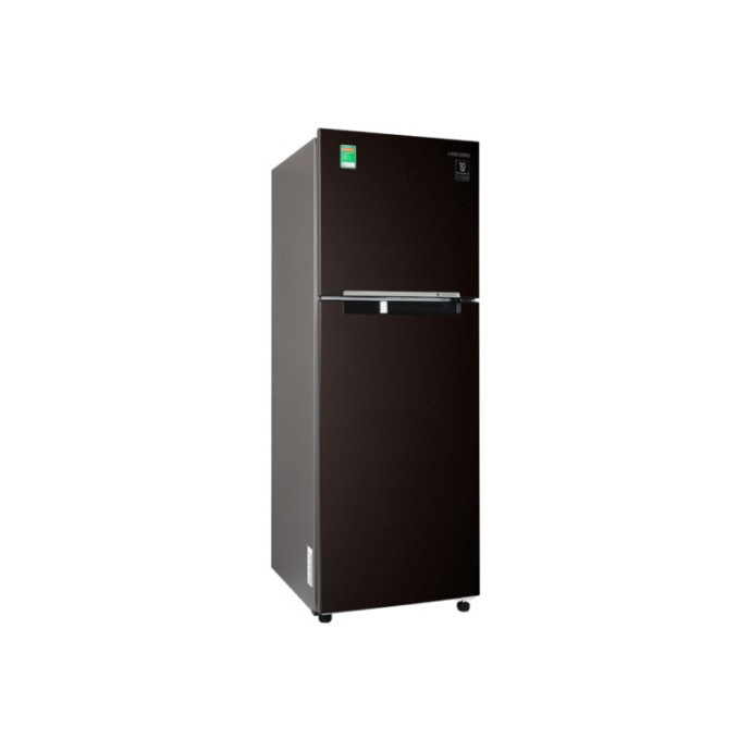 Tủ lạnh Samsung Inverter 236 lít RT22M4032BY/SV