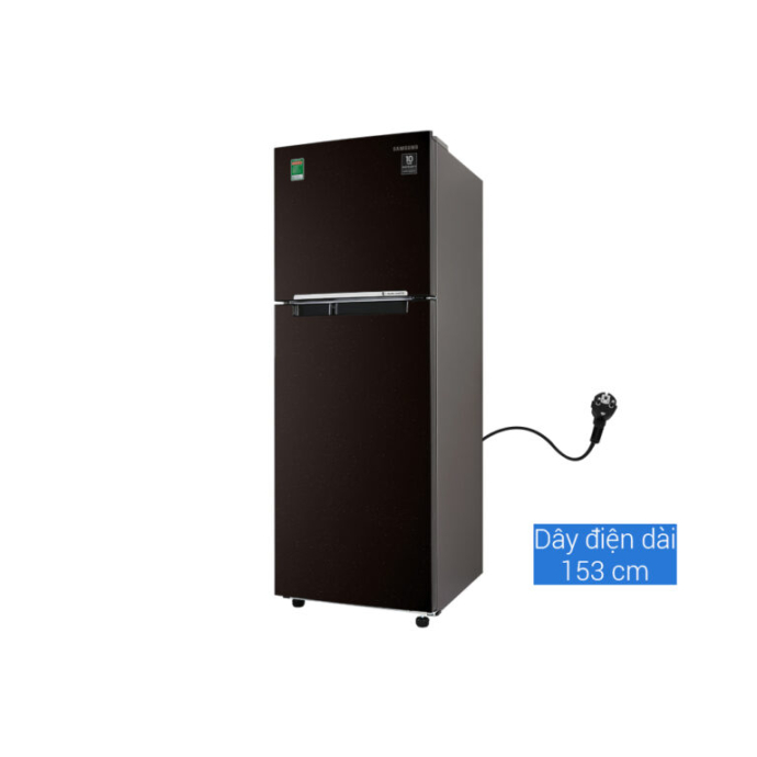 Tủ lạnh Samsung Inverter 236 lít RT22M4032BY/SV