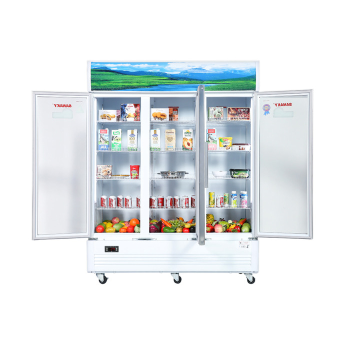 Tủ mát Sanaky 1400 lít TM – VH1520HP